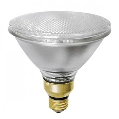 PFA-125PAR38/FL Heat Lamp Infrared