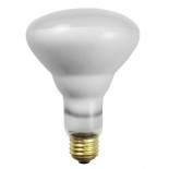 R30 (BR30) Bulbs