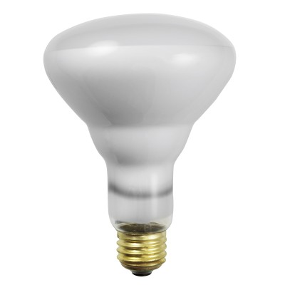 65BR30/TF  (Tuff-Coat) - Norman Lamps