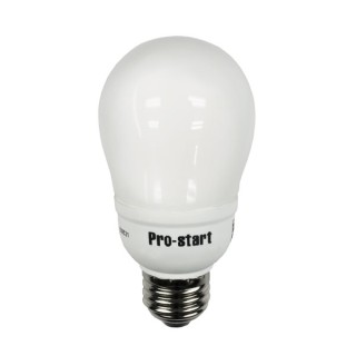A Type CFL A Type CFL