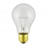 A19 Light Bulbs