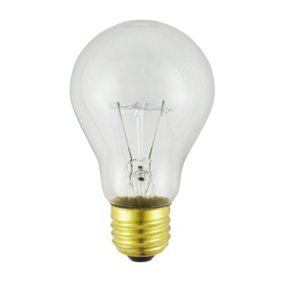 A19 Light Bulbs A19 Light Bulbs