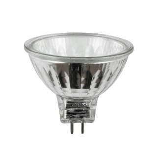 MR16 24 Volt Lamps
