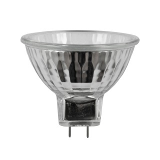 MR16 120 Volt Lamps