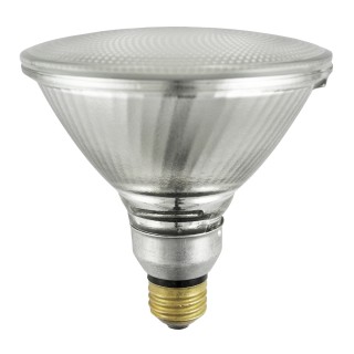 PAR38 Halogen Bulbs