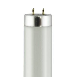 T12 Fluorescent Tubes T12 Fluorescent Tubes