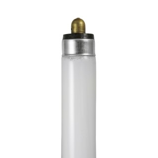 T6 Fluorescent Tubes T6 Fluorescent Tubes