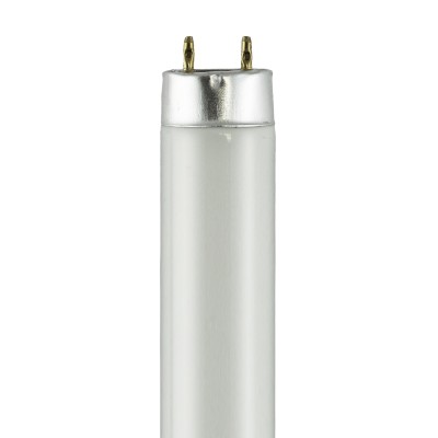 F18T8/CW/26 Cool-White 4200K F18T8/CW/26 Cool-White 4200K - Norman Lamps