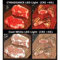 LED-T815-95CRI5 VERY HIGH CRI Tube 95CRI @ 5000K LED-T815-95CRI5 VERY HIGH CRI Tube 95CRI @ 5000K - LED-T815-95CRI5 - Norman Lamps