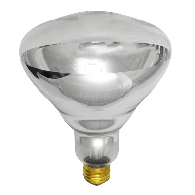 125BR40/1  Clear Heat Lamp 125 Watt - NSF Listed