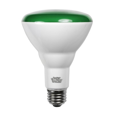 LED-BR30-9W GREEN