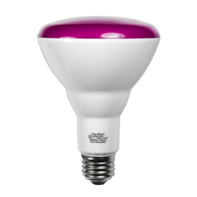 LED-BR30-9W PINK