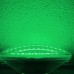 LED-PAR36/GREEN 10~30 VOLTS, 9W