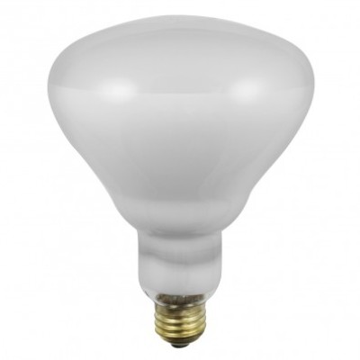 DXE - 500W, 125V
