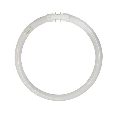TL5C22W/840 Cool-White 4000K