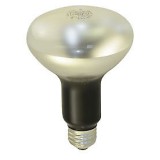EBR Projector Bulb 115V-120V 375W