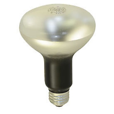 EBR Projector Bulb 115V-120V 375W