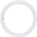 FC27T6-WW (S6597) 27W 2,700k Circular Fluorescent FC27T6-WW (S6597) 27W 2,700k Circular Fluorescent