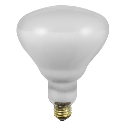 500R40/5FL/SLV 500W 120V Flood Bulb E26 Medium Screw Base