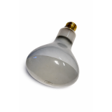 500R40/5FL/SLV - Norman Lamps