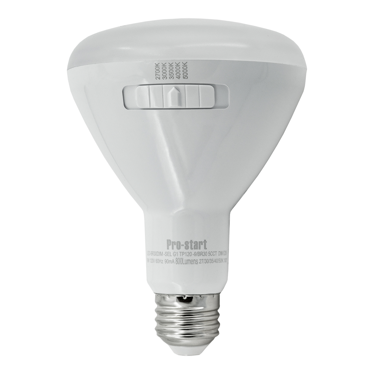 BR30 Flood